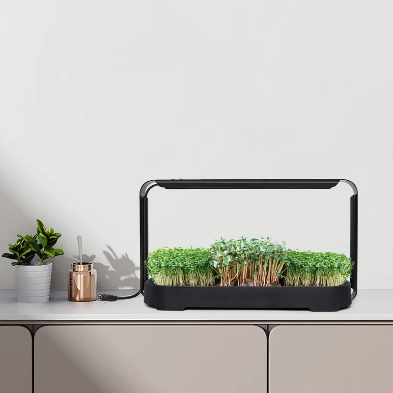 Self Watering Planter - System hydroponiczny do samodzielnego nawadniania mikrolistków