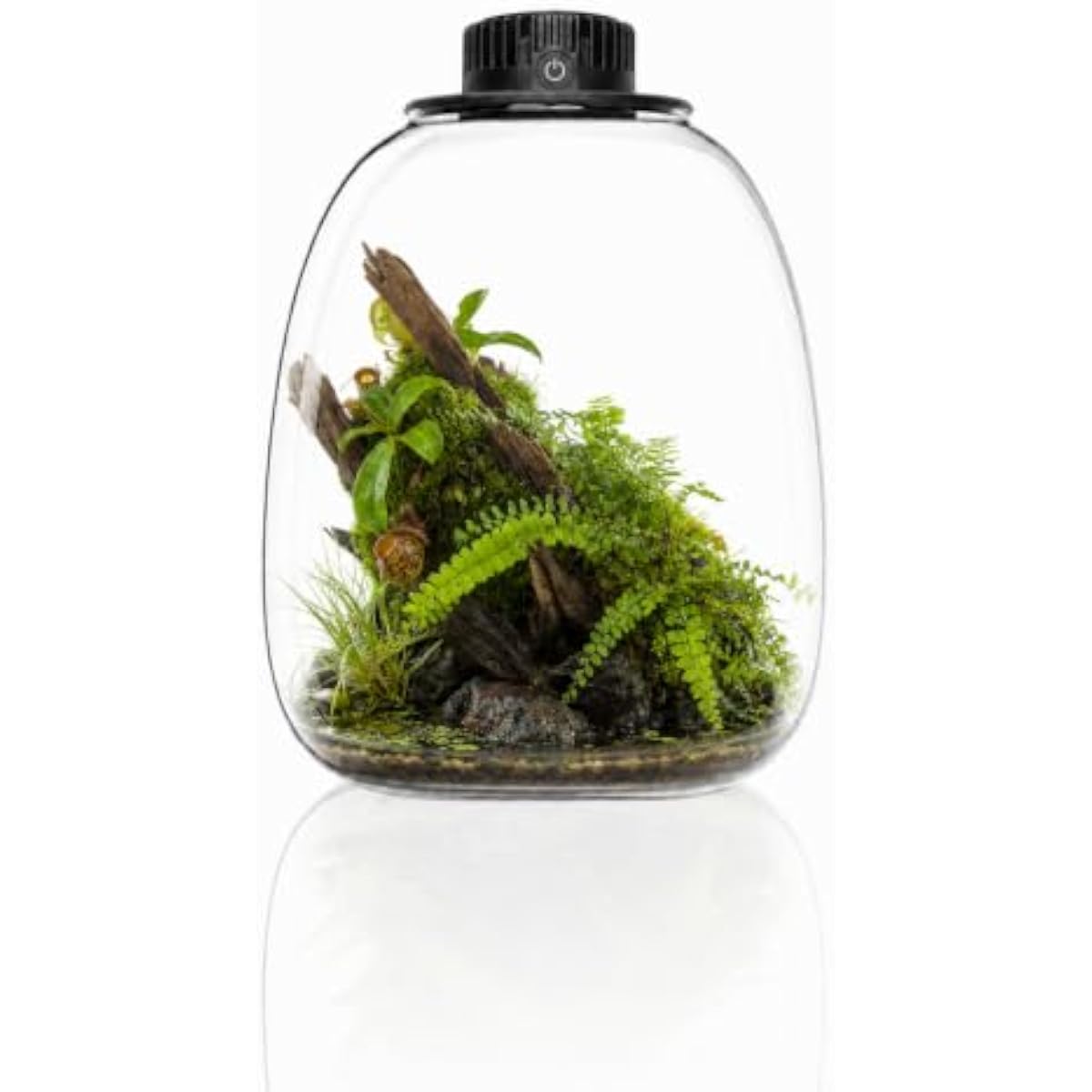 Okrągły terrarium z bio-butelk – Grow Light Led recenzja i cena