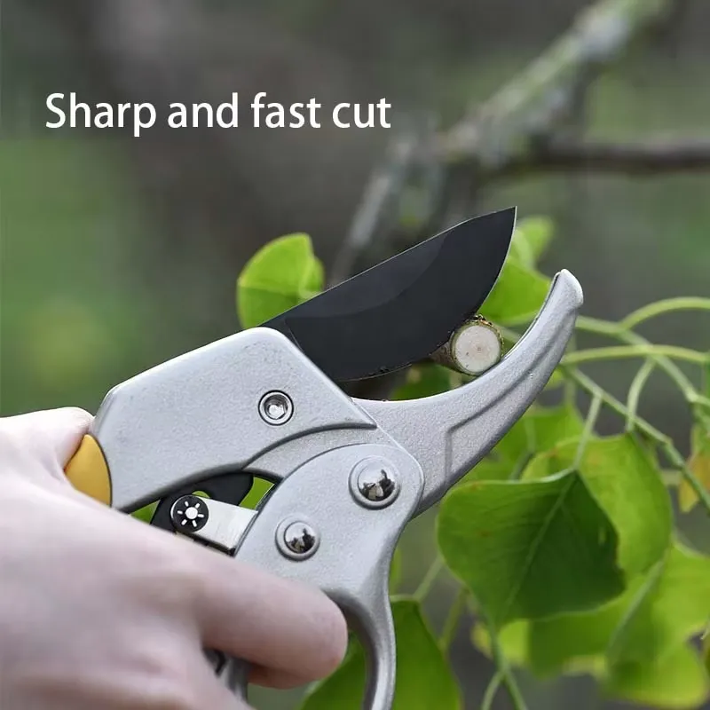 EE1 - Popularne nożyce do przy – Pruning Shears recenzja i cena