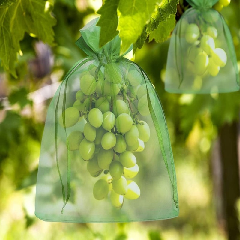10/120x Organzowe worki ochron – Grow Bag recenzja i cena