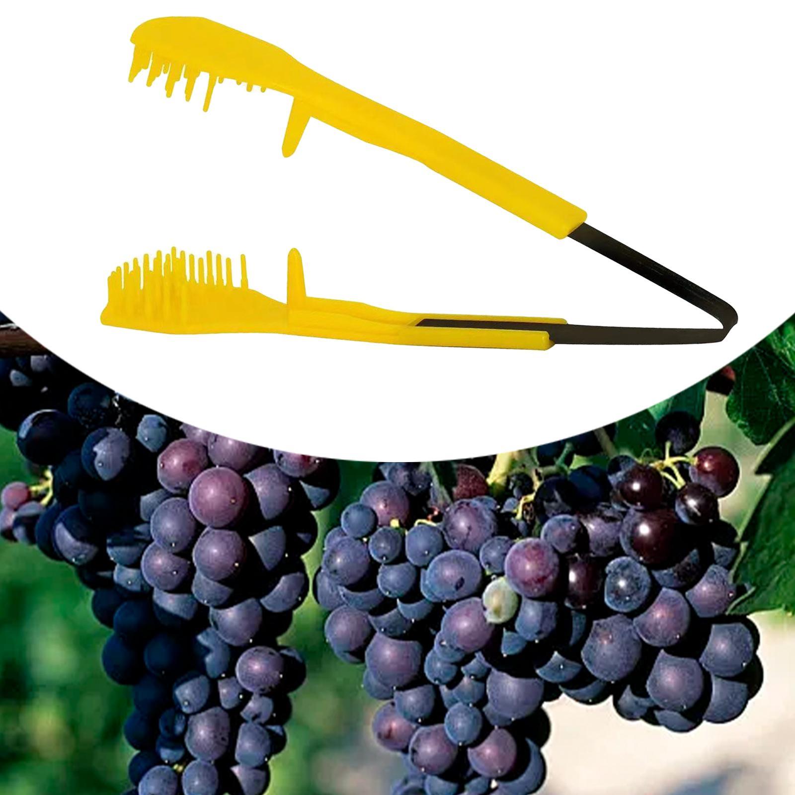 Standardowe nożyce do przycina – Pruning Shears recenzja i cena
