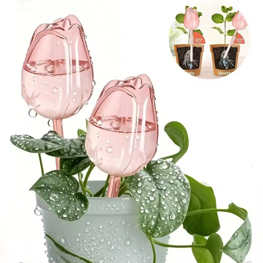 Przezroczysty, gruby, samonawa – Self Watering Planter recenzja i cena