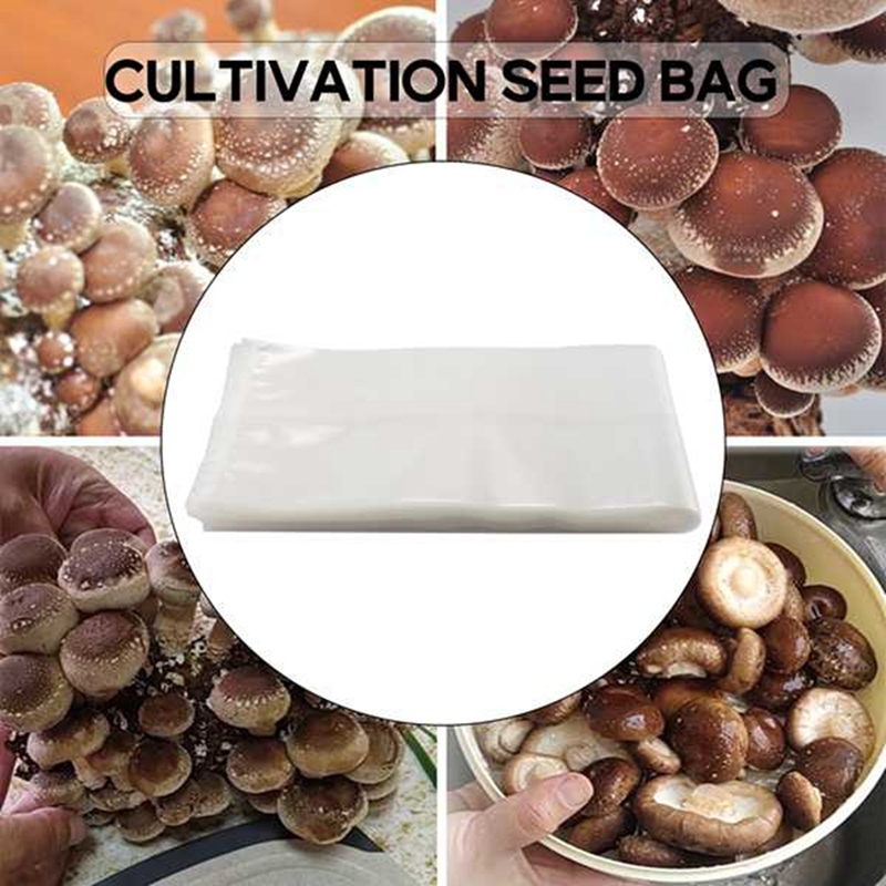 50 Saszetek do Hodowli Grzybów – Grow Bag recenzja i cena