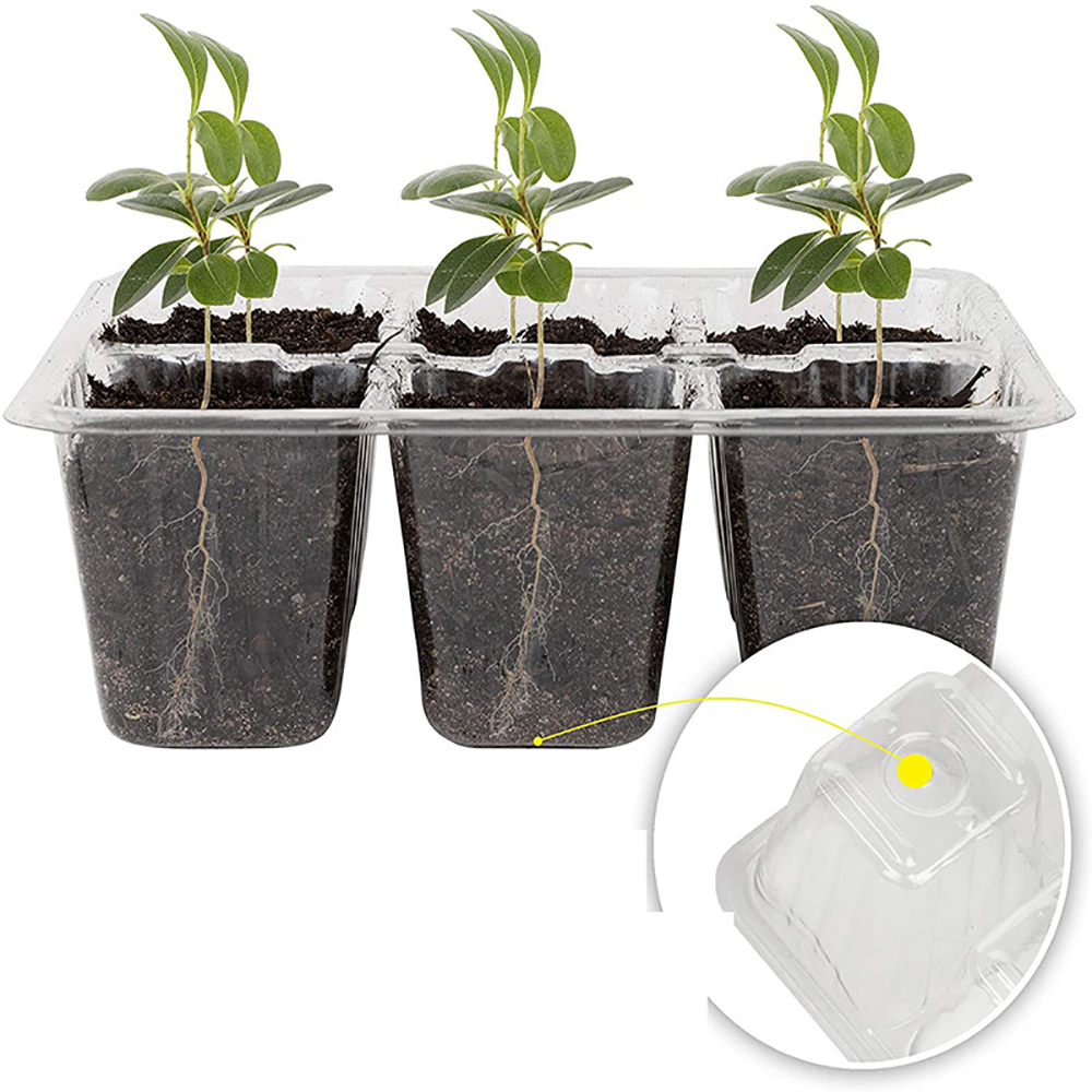 Tace startowe do nasion z oświ – Seed Starter Tray recenzja i cena