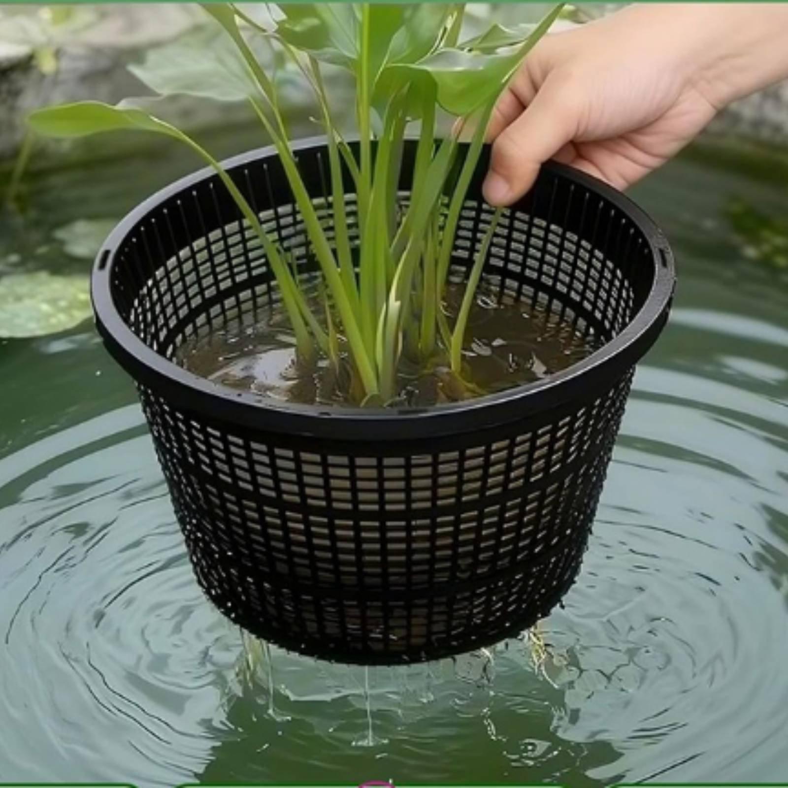 Hydroponiczna doniczka z szero – Plant Pot recenzja i cena