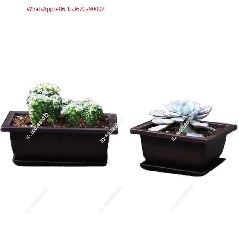 1 szt. Plastikowy doniczka z p – Plant Pot recenzja i cena