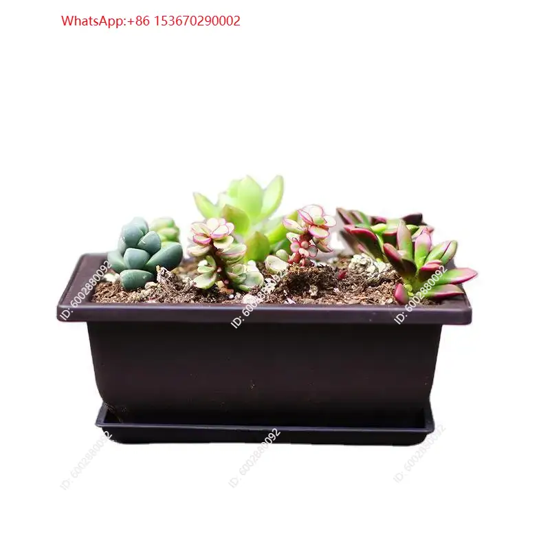 1 szt. Plastikowy doniczka z p – Plant Pot recenzja i cena