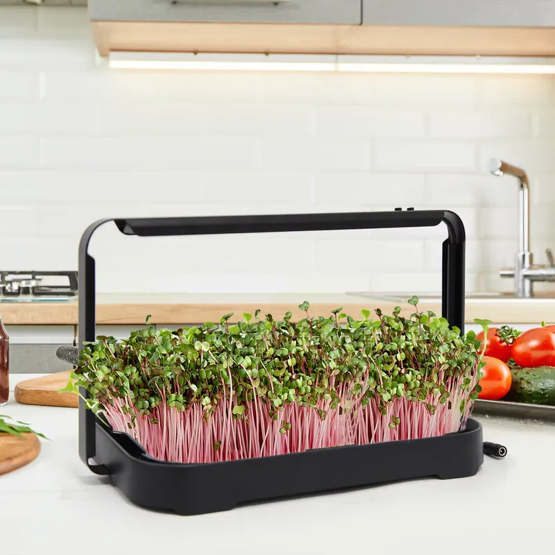 Taca hydroponiczna do uprawy m – Hydroponic Kit recenzja i cena
